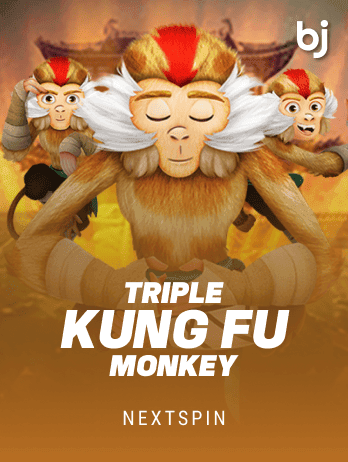 Triple Kung Fu Monkey icon